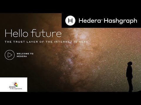 ⚫️ Blockchain Killer ⚫️ ? Una Crypto che viene dal futuro… Hedera Hashgraph