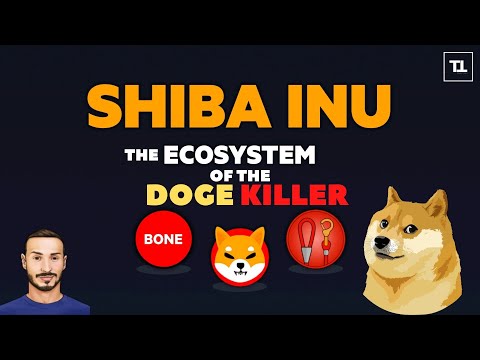 SHIBA INU Token ? CRYPTO Review