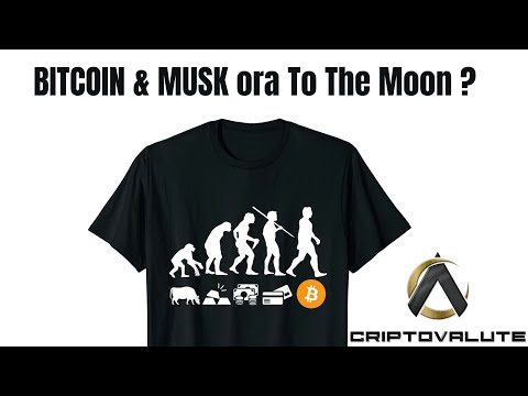 BITCOIN & MUSK ora To The Moon ?