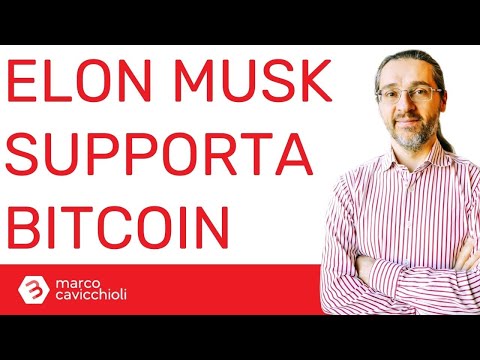 Definitivo: Elon Musk supporta Bitcoin (ma non fa salire il prezzo)