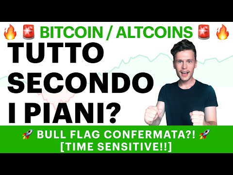 ⚡️? TUTTO SECONDO I PIANI?! ?⚡️ BITCOIN / ALTCOINS: BULL FLAG IN CONFERMA? [time sensitive!]