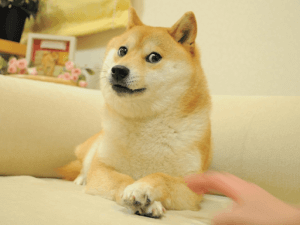 NFT del meme Doge frazionato in token vale ora 500m USD