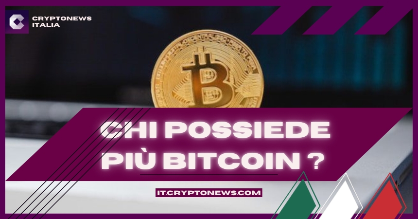 Chi Possiede più Bitcoin? Analisi dei Maggiori Detentori