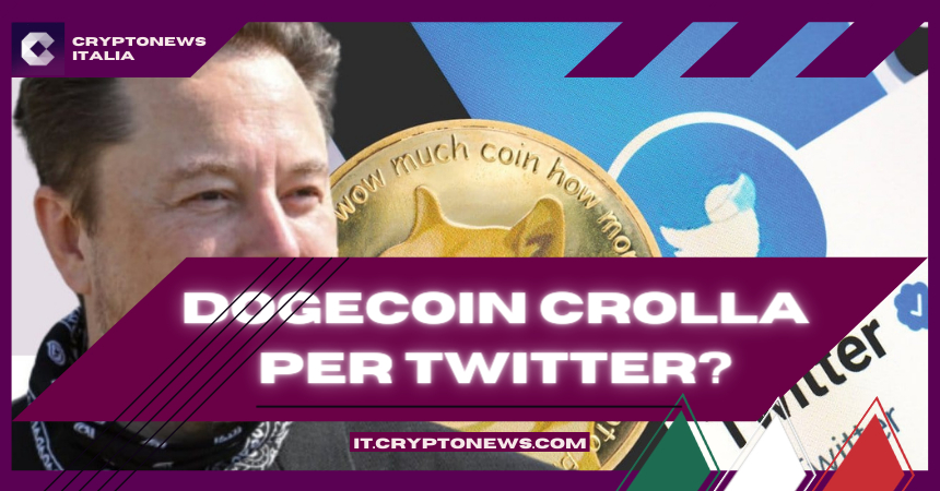 Dogecoin Crolla Perchè Twitter Viene Citato in Giudizio? Pump su Shiba Inu e 3 Crypto