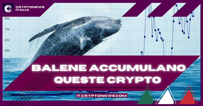Le balene stanno accumulando queste crypto poco conosciute: ecco perché