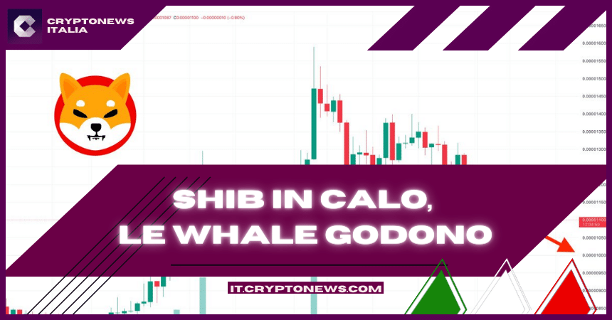 Previsione valore Shiba Inu: Il volume di trading va a 150 milioni di dollari – Cosa fanno le whale?