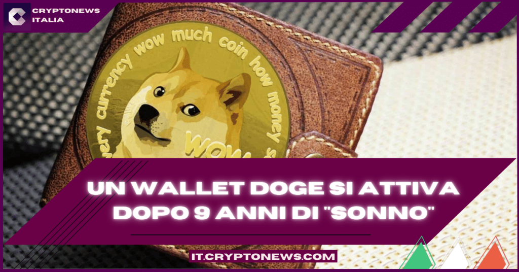 Un portafoglio Dogecoin dormiente da più di 9 anni si risveglia improvvisamente