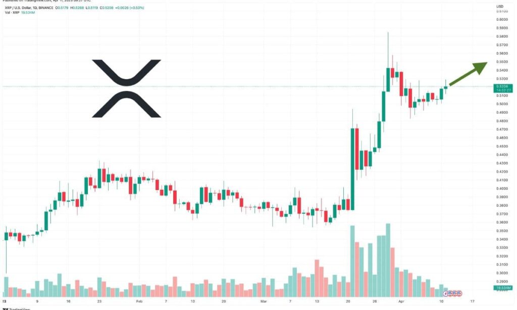 Previsioni Ripple: XRP sale del 3%, mentre le balene sono all’attacco