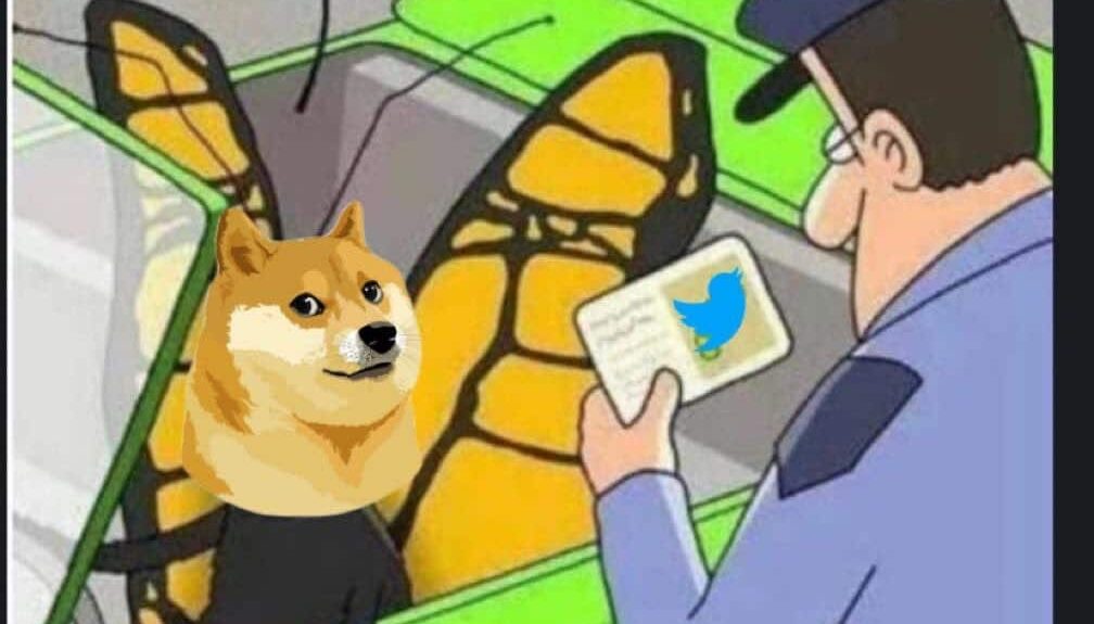 Cambia il logo di Twitter e Dogecoin schizza in cima alle ricerche di Google. Ma non tutti sono contenti…