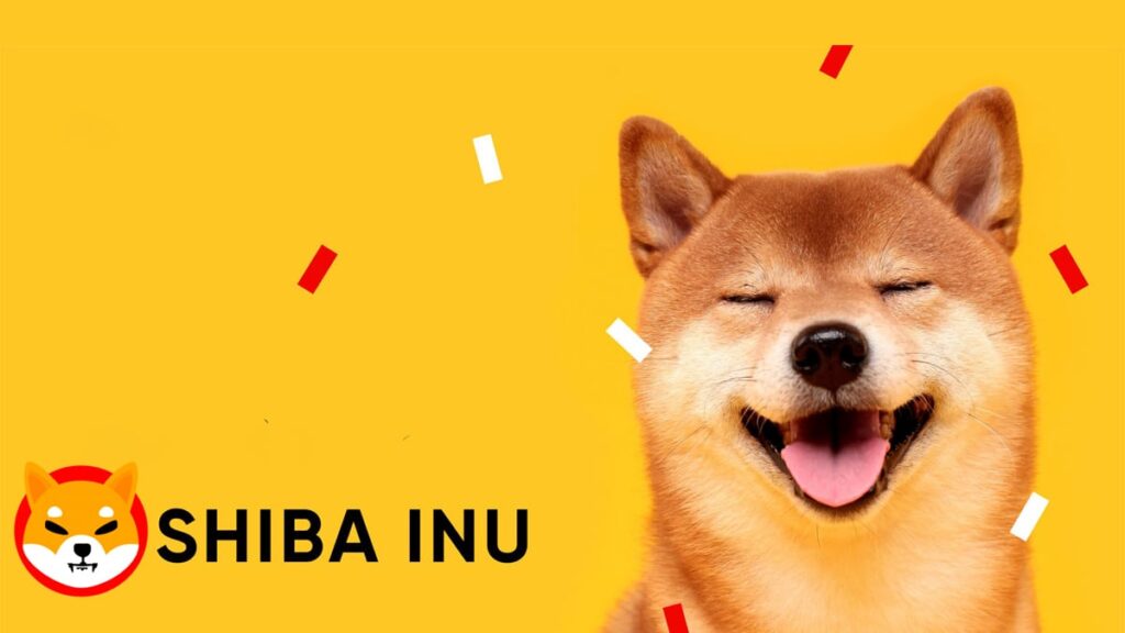 Binance promuove Shiba Inu e altre 3 crypto fuori dalla Innovation Zone!