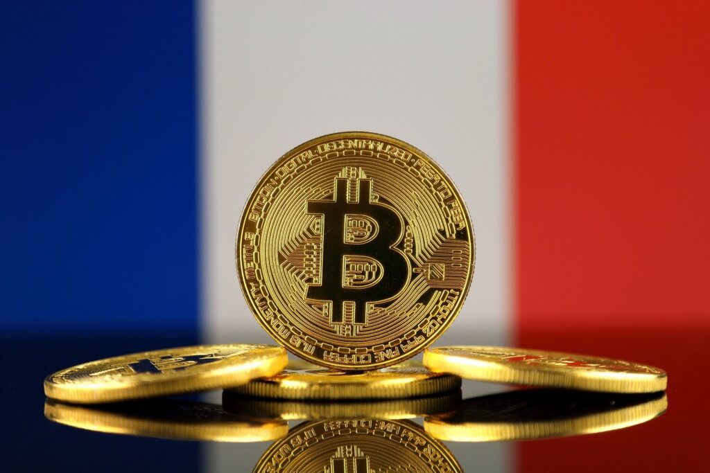 Un francese su dieci possiede crypto: cresce il tasso di adozione?