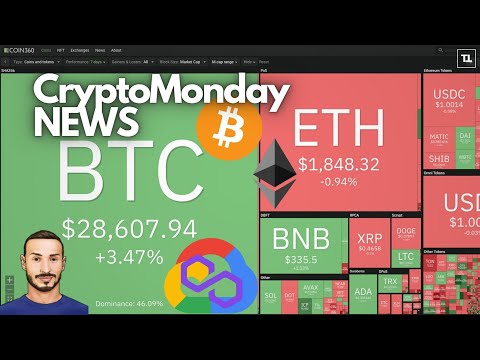 Ecco cosa guiderà il prossimo BULL MARKET ⏳ CryptoMonday NEWS w18/’23