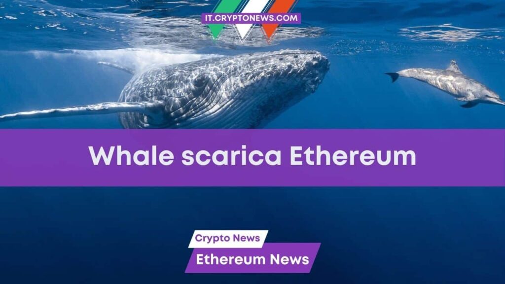 Whale dormiente sposta milioni di ETH. Cosa rischia Ethereum?