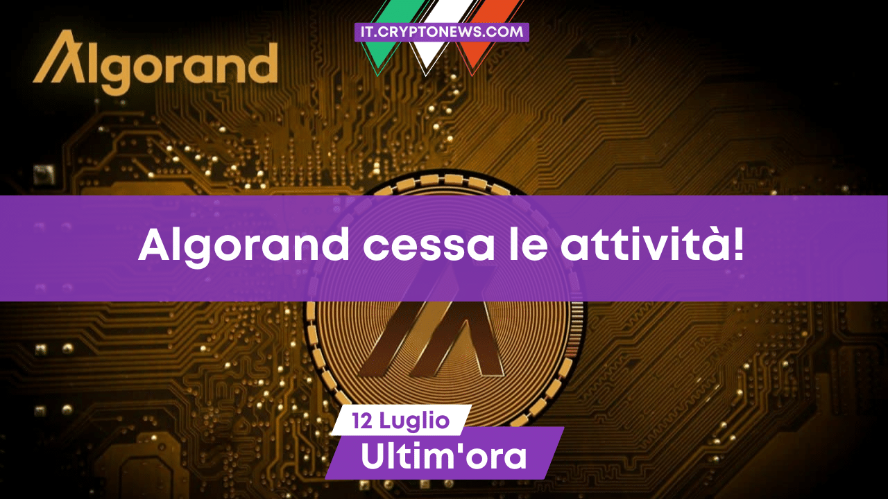 Algorand chiude la maggior parte delle sue attività!