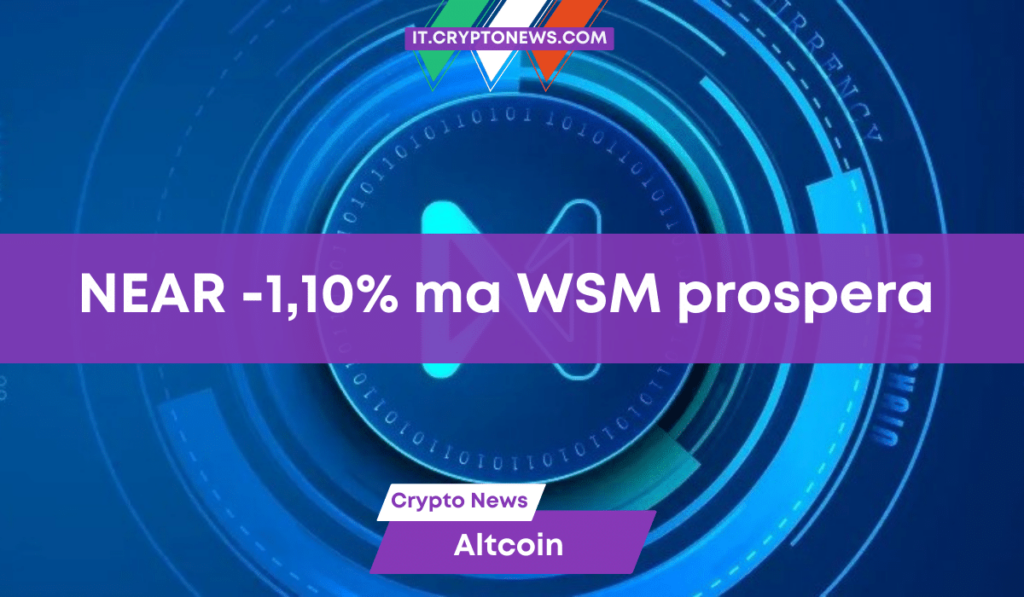 NEAR perde l’1,10% mentre WSM guadagna terreno!