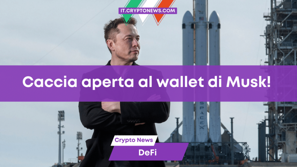 È caccia aperta al portafoglio crypto di Elon Musk!