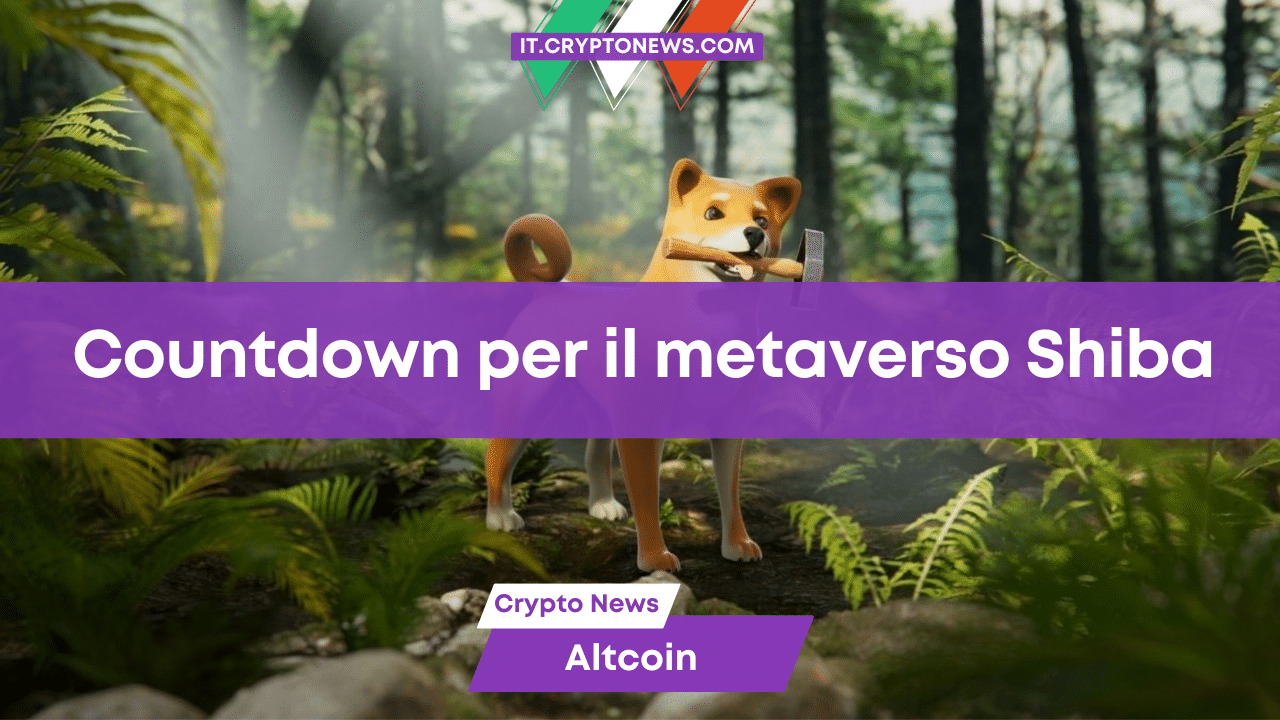 Inizia il conto alla rovescia per il progetto Metaverse di Shiba Inu