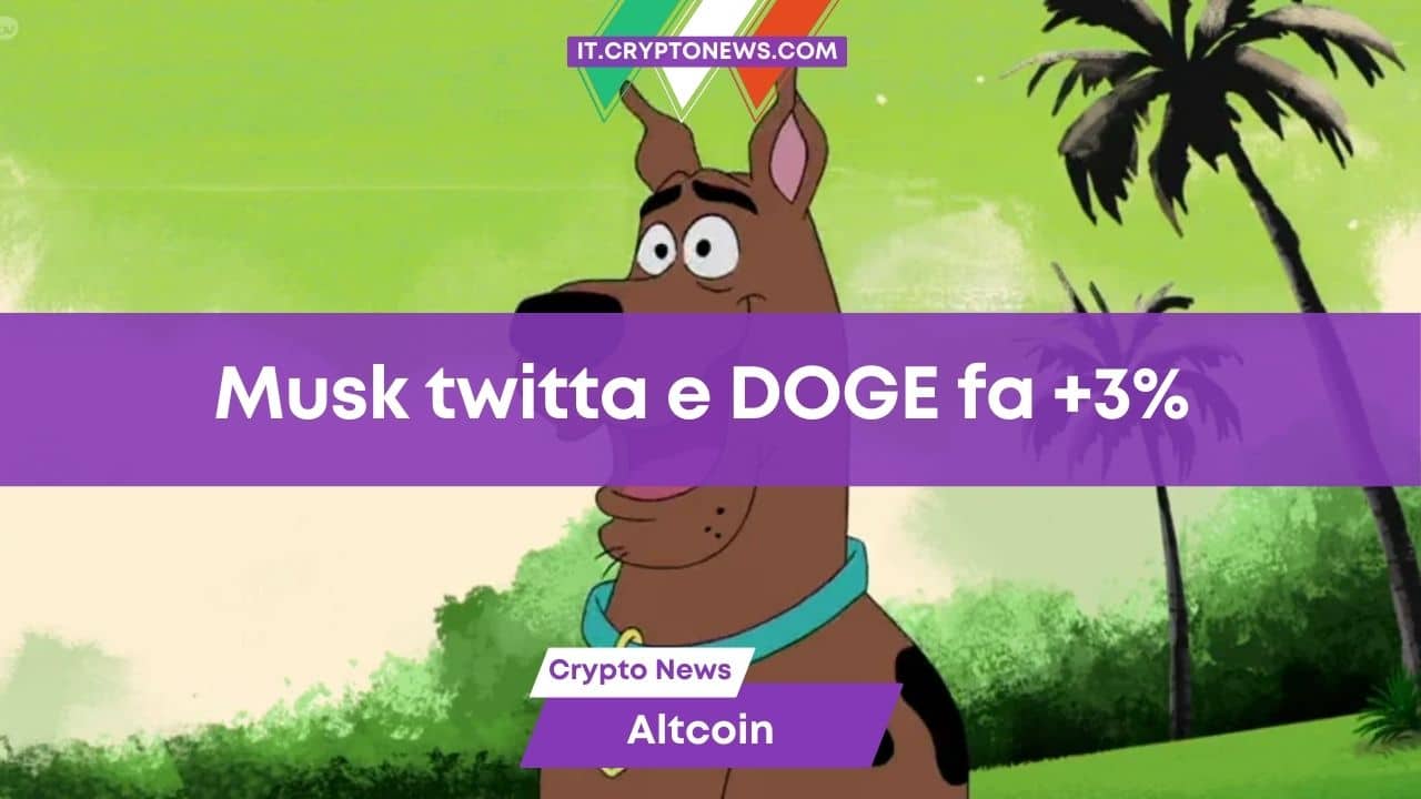 Elon Musk posta un meme su Scooby-Doo e DOGE esplode