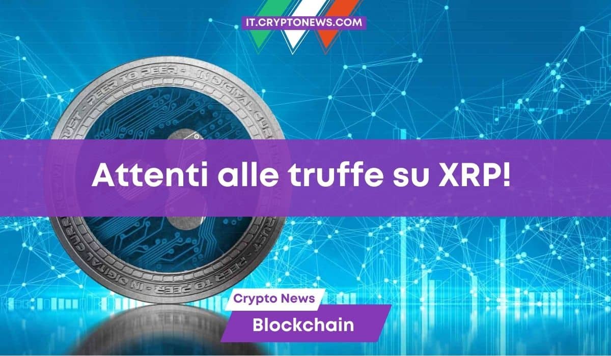 Attenti alle truffe su Ripple (XRP) l’avviso del CTO David Schwartz!