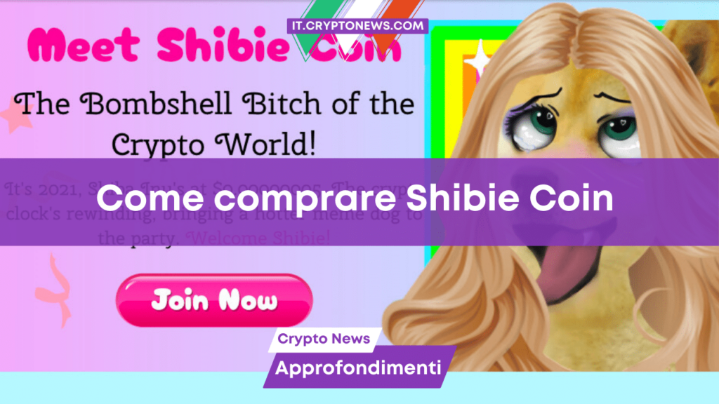 Come comprare Shibie Coin – La guida semplice