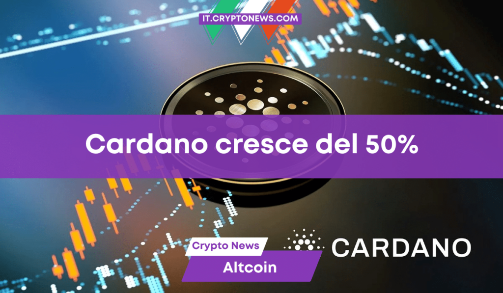Le transazioni su Cardano sono aumentate di quasi il 50% nel secondo trimestre!