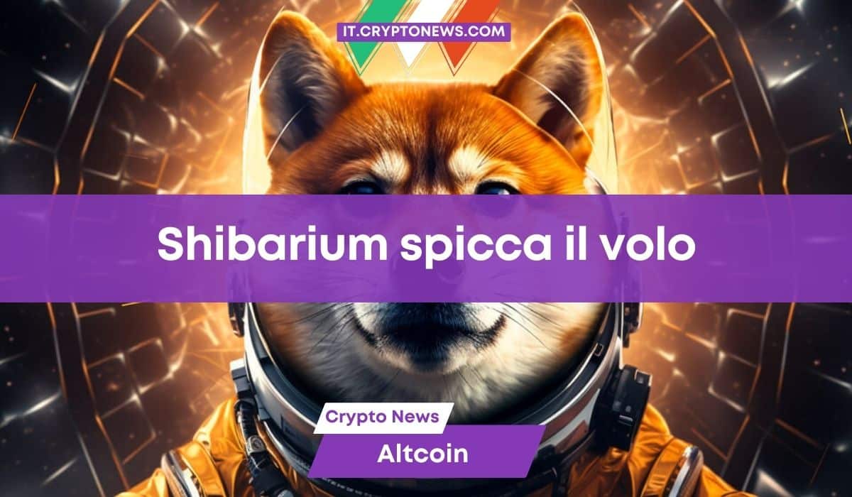 Shibarium spicca il volo e triplica le sue dimensioni in un giorno!