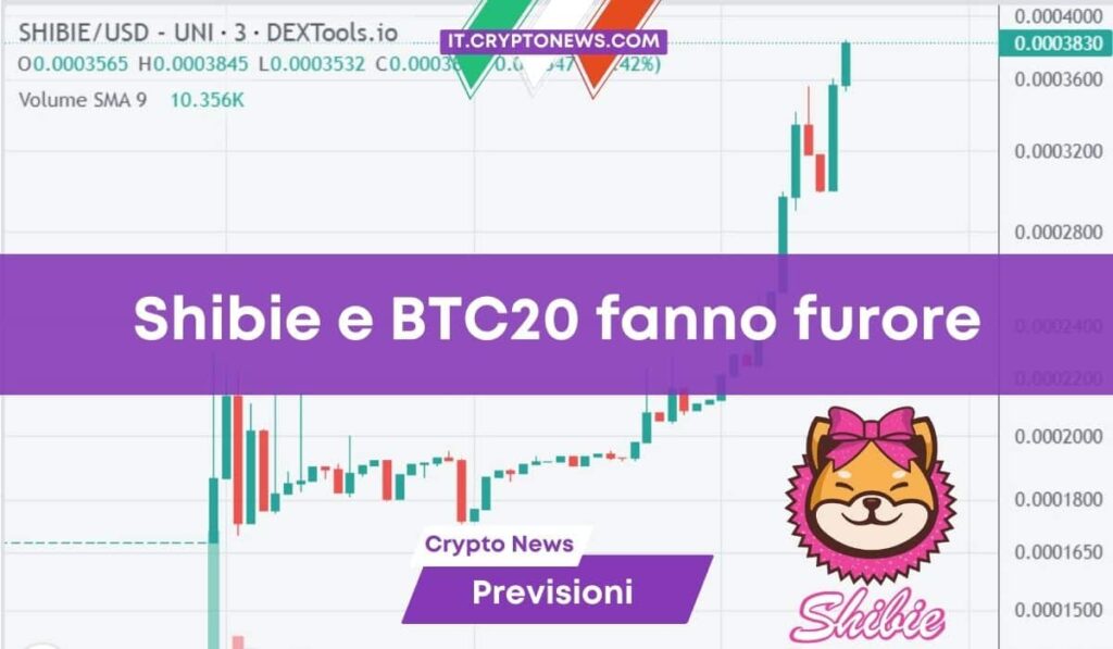 Cat Coin e Shibarium Token sono truffe? Ecco le memecoin su cui puntare