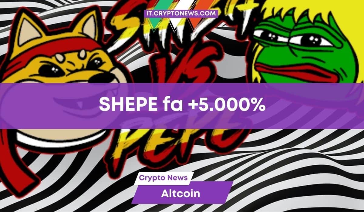 SHEPE sale del 5.000%. WSM potrebbe essere la prossima memecoin esplosiva?