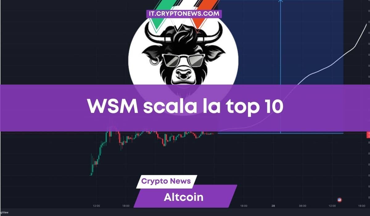 Wall Street Memes fa il 106% e scala la top 10 delle memecoin