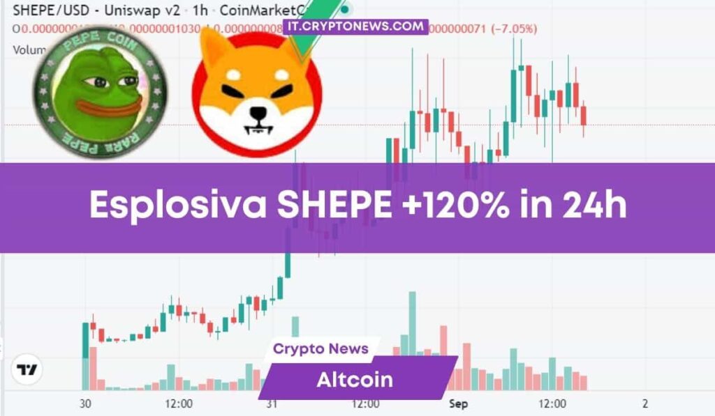 SHEPE è la nuova sorpresa crytpo che cresce del 120% in 24 ore!