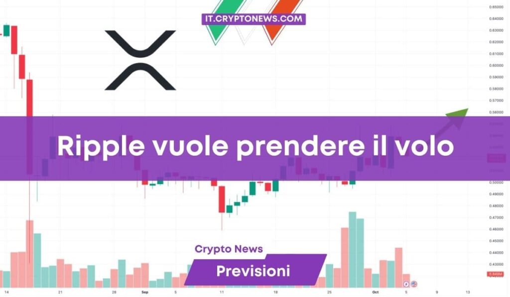 Previsione prezzo XRP: superata la resistenza a 0,50$ ecco il prossimo livello da tenere d’occhio!