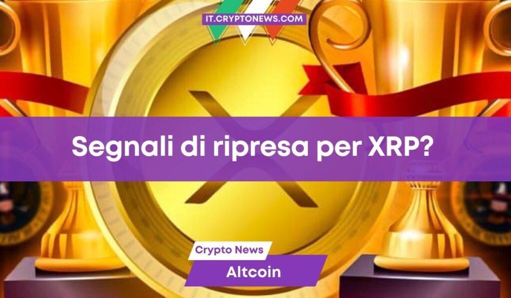 Nonostante XRP crolli sotto gli 0,50 $, le balene continuano ad avere fiducia in Ripple