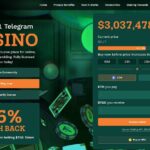 Gli esperti vedono nel progetto GambleFi TG.Casino ($TGC) il potenziale di Rollbit