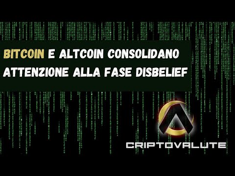 BITCOIN e ALTCOIN consolidano , attenzione alla fase Disbelief