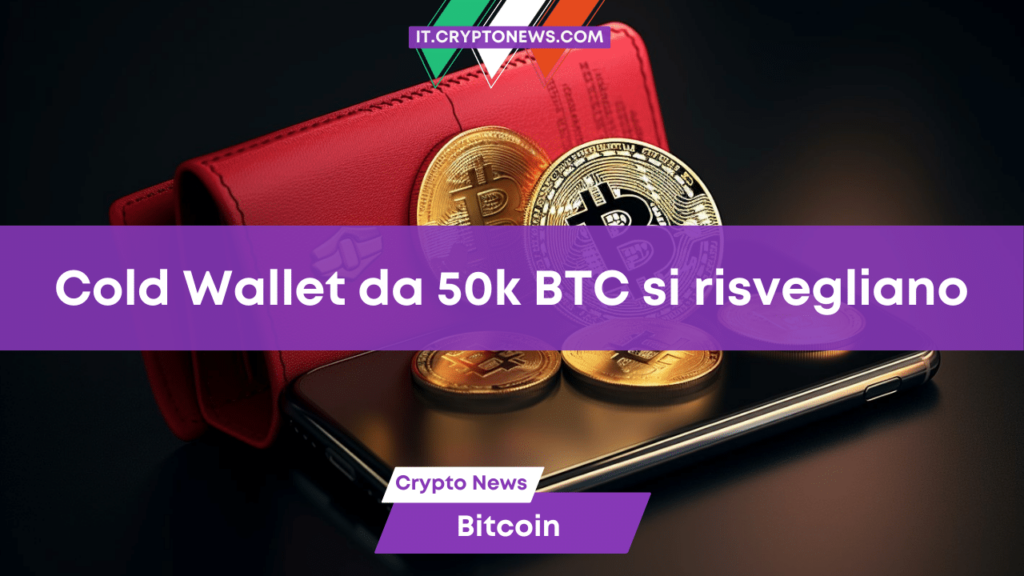 A chi appartengono i misteriosi wallet da 49.858 Bitcoin che si sono appena risvegliati?