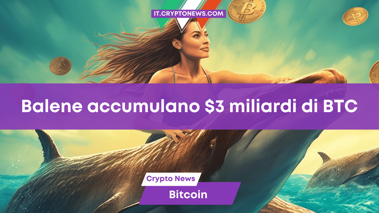 Le balene crypto hanno accumulato $3 miliardi in Bitcoin a gennaio