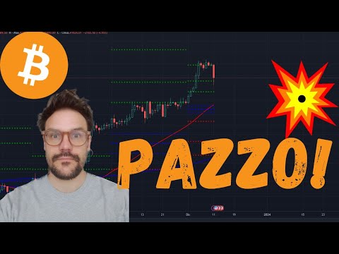 SARA’ UN PAZZO 2024! NON C’E’ DUBBIO! DUMP E MAXI PUMP?! AIRDROP LFG!