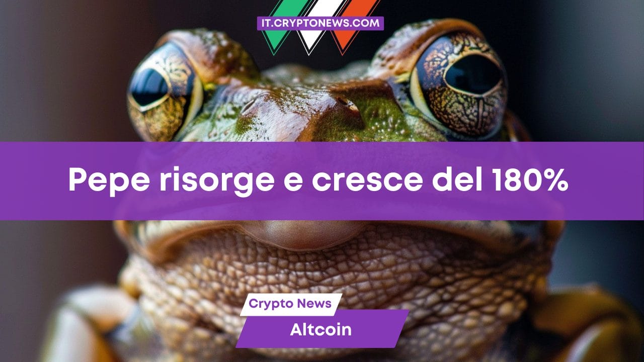 Pepe risorge e cresce del 180% in una settimana