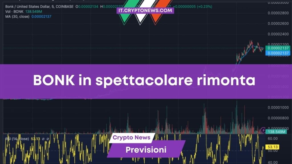 Previsioni prezzo BONK: nuovo rally del 50% in 24 ore