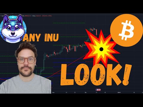 QUESTE CHART! ANALISI LOOK INTO BITCOIN! ANY INU IL CANE MULTICHAIN!