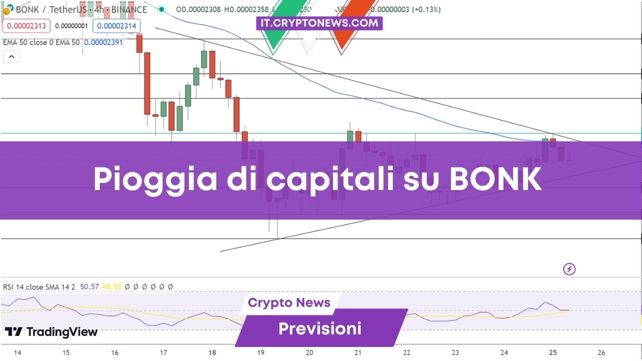 Trading da 100.000.000$ verso BONK – Le whale tornano all’attacco?