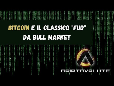 BITCOIN e il  classico “FUD” da Bull Market