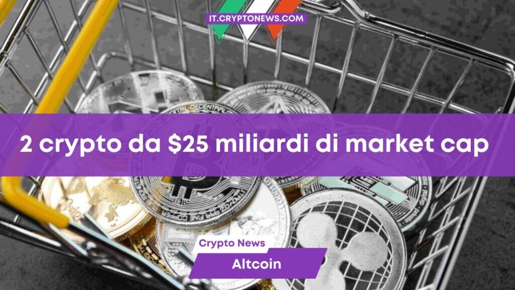 Queste 2 memecoin raggiungeranno $25 miliardi di market cap nel 2024