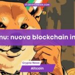 Shiba Inu raccoglie $12 milioni per sviluppare una nuova blockchain Layer 3