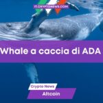 Cardano: Le whale accumulano grosse quantità di token ADA. È il momento di entrare?