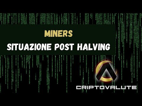 MINERS , situazione POST HALVING