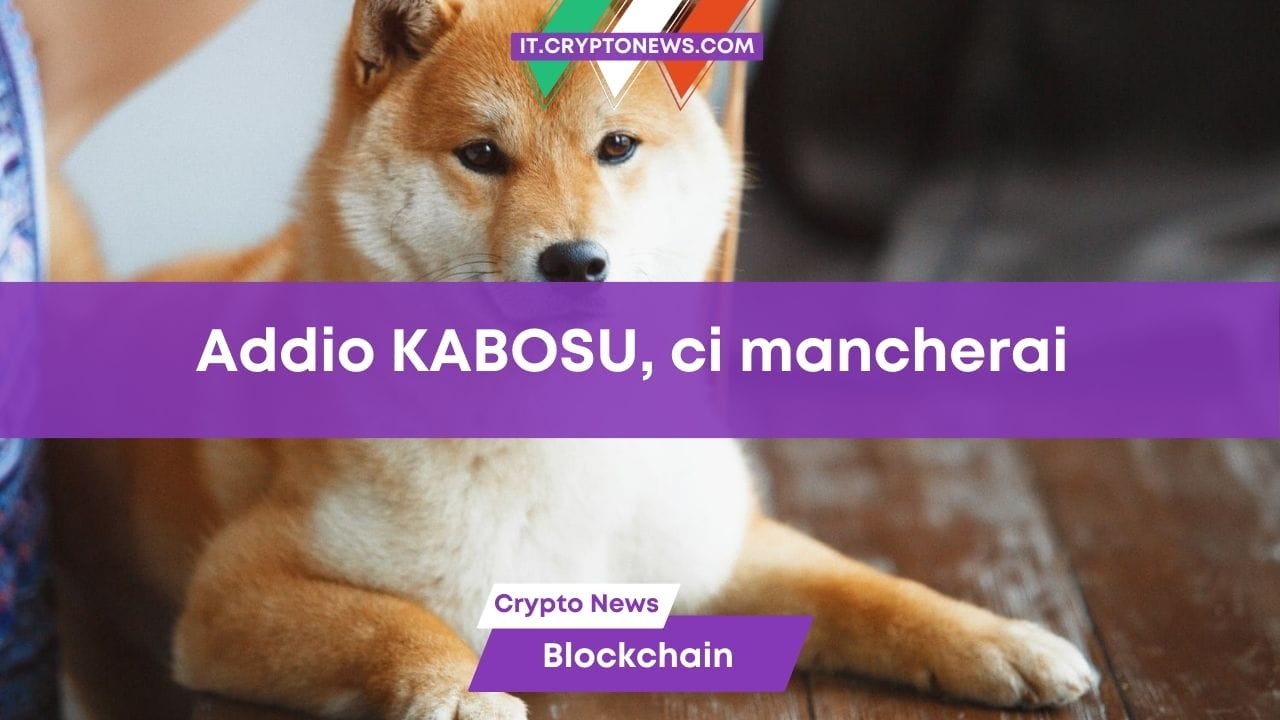 Addio Kabosu! la community crypto saluta lo Shiba Inu che ha ispirato Dogecoin