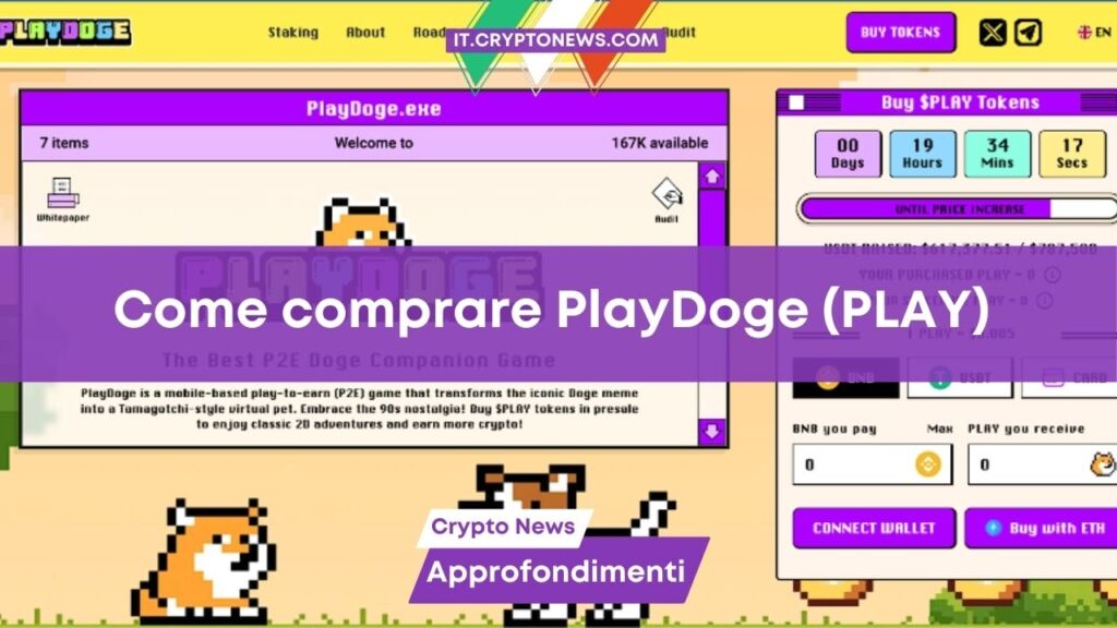 Come comprare PlayDoge ($PLAY) – Guida facile