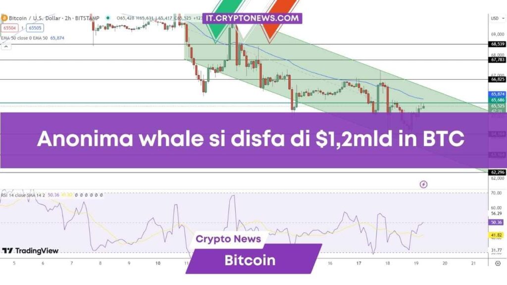 Previsione Bitcoin: Anonima whale svende $1,2 miliardi in BTC – È l’ora del panico?