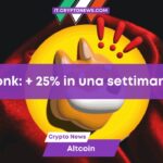 Bonk guida il rally delle meme coin su Solana: + 25% in una settimana